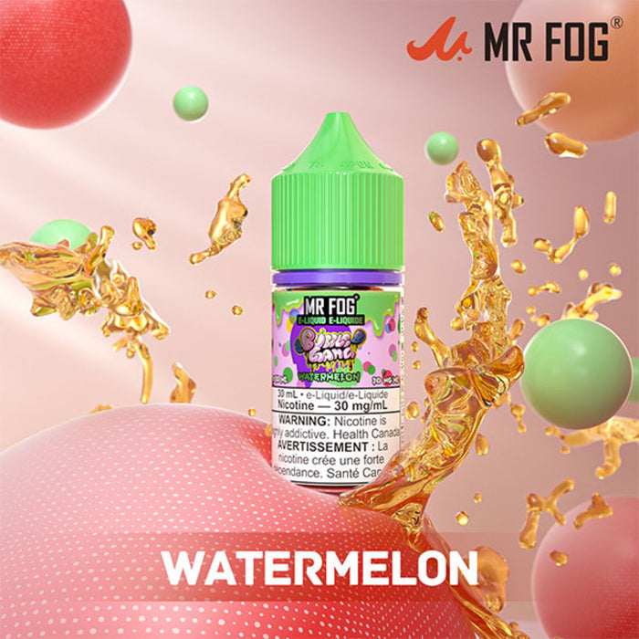 Mr Fog E liquid Salt 30ML Bubble Gang Watermelon