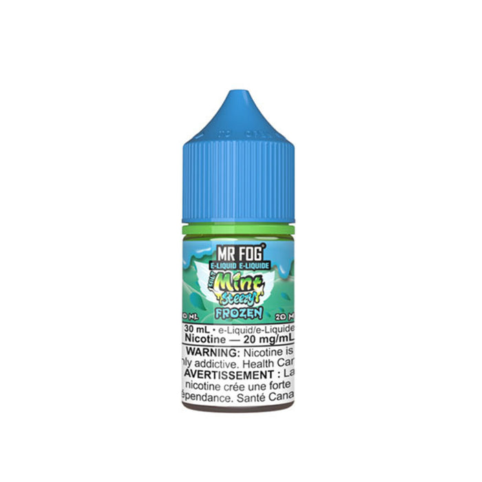 Mr Fog E liquid Salt 30ML Mint Steezy Frozen
