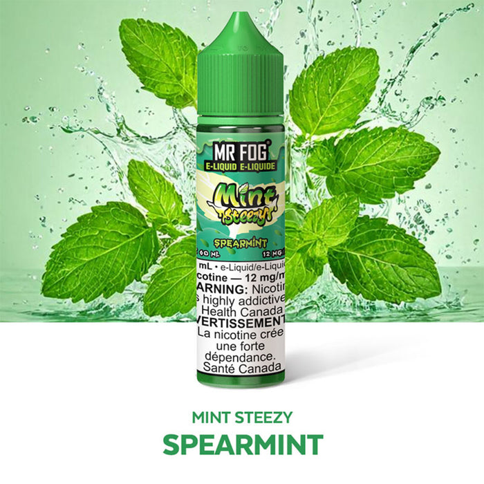 Mr Fog E-liquid Mint Steezy Spearmint
