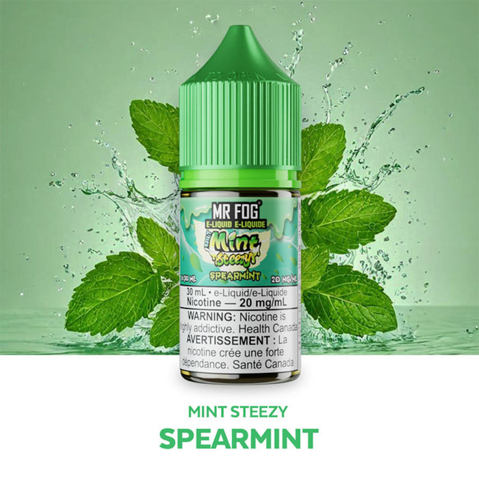 Mr Fog E liquid Salt 30ML Mint Steezy Spearmint