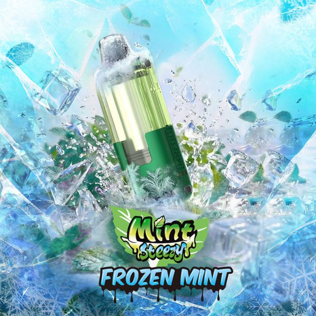 Mr. Fog Switch Pod - Mint Steezy Frozen Mint